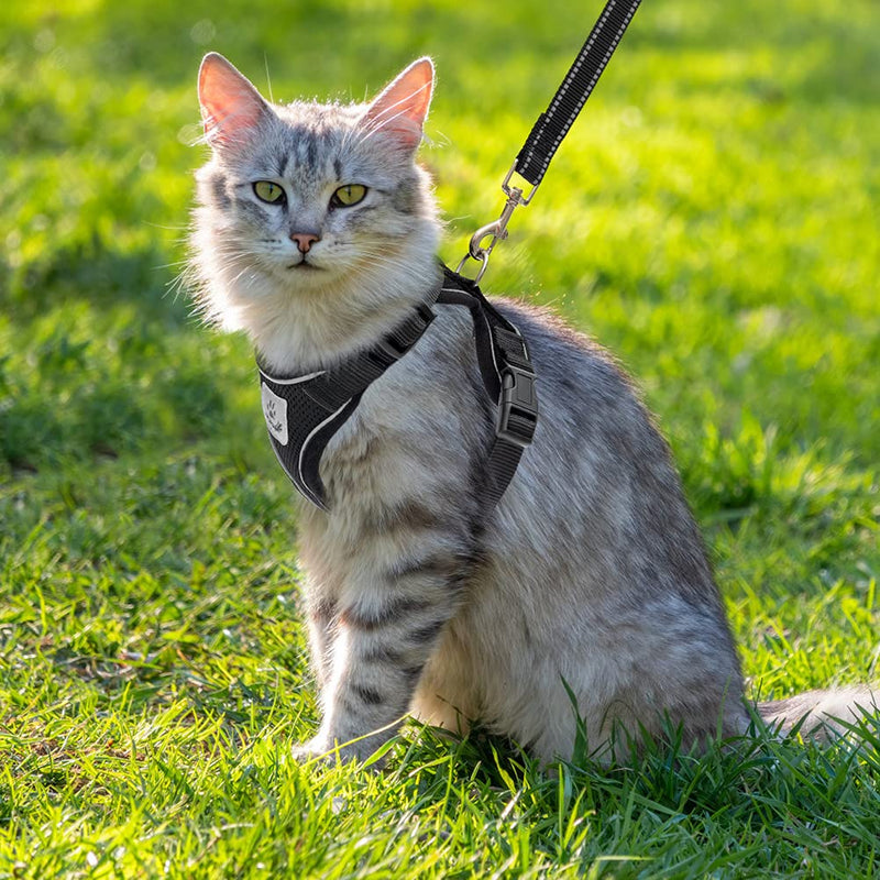 PUPTECK Cat Harness and Leash Set- Adjustable Vest Escape Proof Harness for Kitten Small Medium Cats, Retractable Breathable Soft Mesh for Outside with Reflective Strips S-Neck: 8.5- 11" Chest: 13.5- 16" Black - PawsPlanet Australia