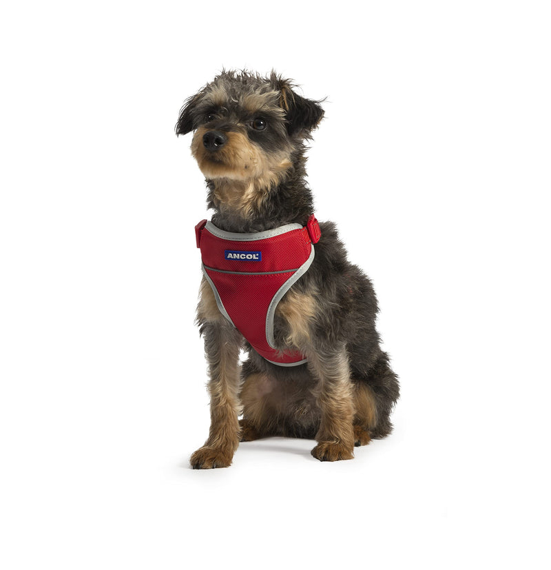 Ancol Travel Dog Harness, X-Large/68-116 cm, Red - PawsPlanet Australia