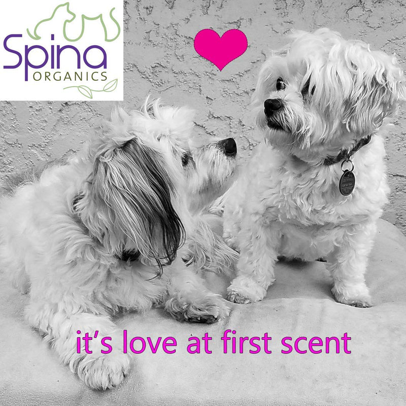 Spina Organics PET Deodorizing Fur Refresher Spray- All-Natural REJUVENATOR Mist, with Botanicals and Essential Oils Featuring a Lavender Scent Made in The USA 9OZ - PawsPlanet Australia