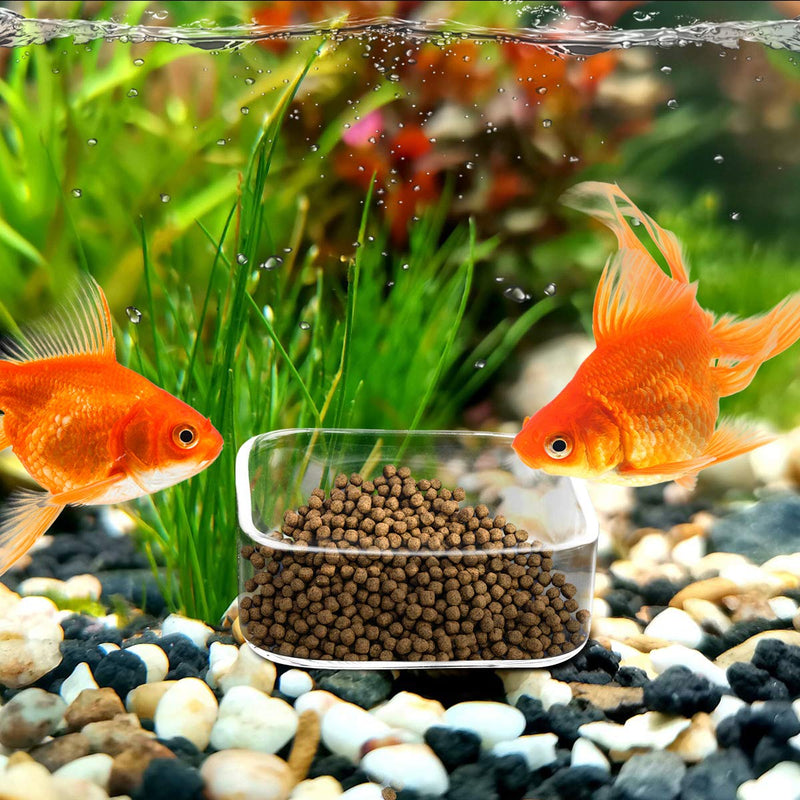 [Australia] - WEAVERBIRD Aquarium Shrimp Feeder Dish Fish Tank Feeding Bowls Glass Square Clear Dish Tray Plate 