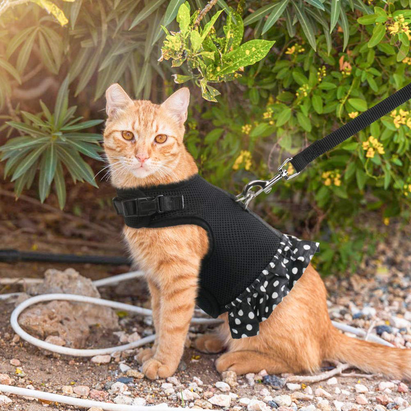 PUPTECK Cat Harness Dress and Leash - Escape Proof Adjustable Cat Vest Harness, Soft and Breathable for Walking Outdoor, Harness for Puppy, Small Dog, Cat M:neck girth 9-11",chest girth 12-14" Black - PawsPlanet Australia