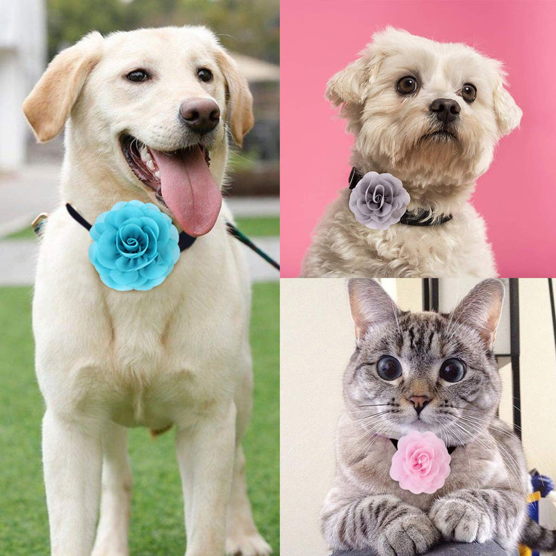 [Australia] - Petmany 12 Pack Cat Dog Collar Flowers,Pet Bow Tie Charm Collars for Puppy Kitten Collar Grooming Accessories 