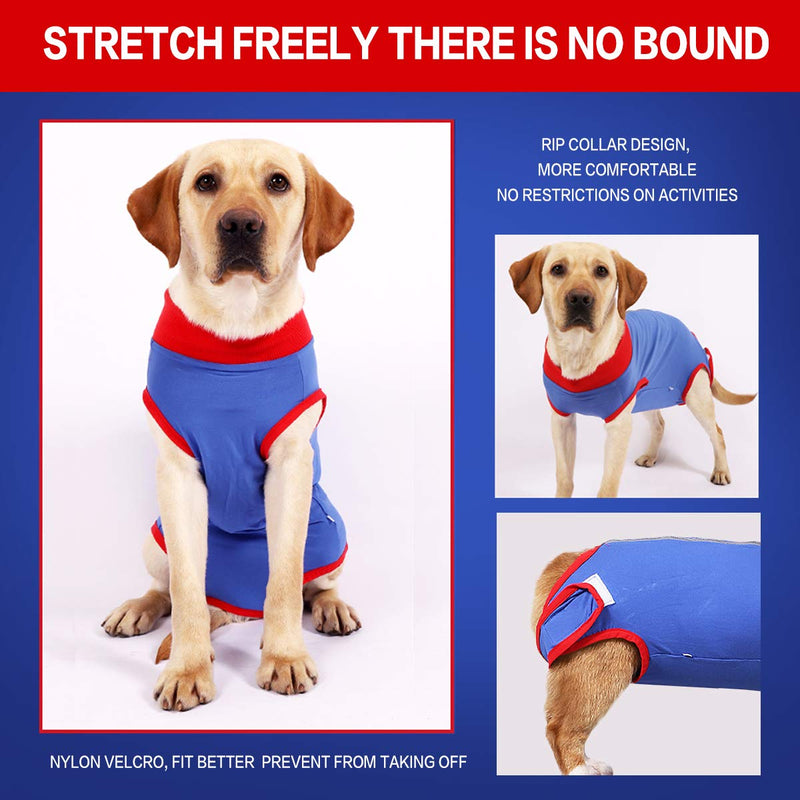 KADUNDI Dog Recovery Suit After Surgery,Pet Surgical Wear For Abdominal Wounds or Skin Diseases Prevent Licking Cone E-Collar Alternative,Bite Post-operative Clothing,XS XS Blue - PawsPlanet Australia