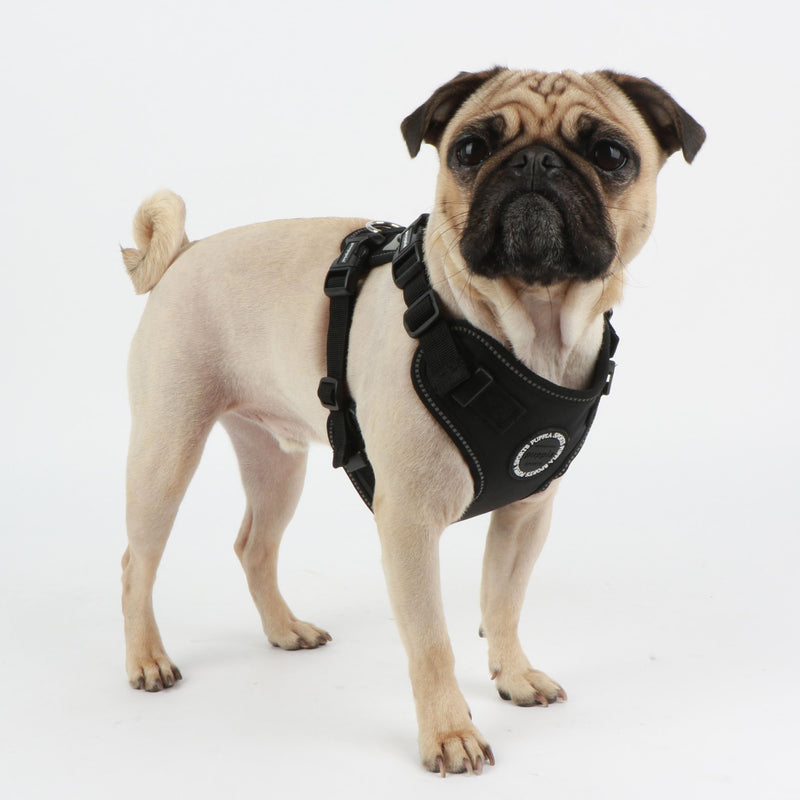 [Australia] - Puppia PLRA-HF9323 Black Trek Safety Harness F Pet-Vest-Harnesses Large 