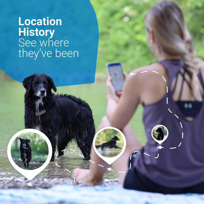 Tractive GPS DOG 4, Dog Tracker, Always Know Where Your Dog Is, Keep Them Fit with Activity Monitoring, Unlimited Range (Coffee) - PawsPlanet Australia