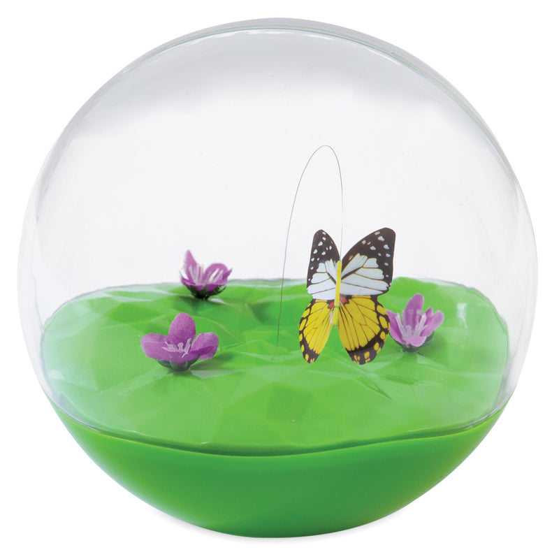 [Australia] - Petmate Butterfly eco shipping box 