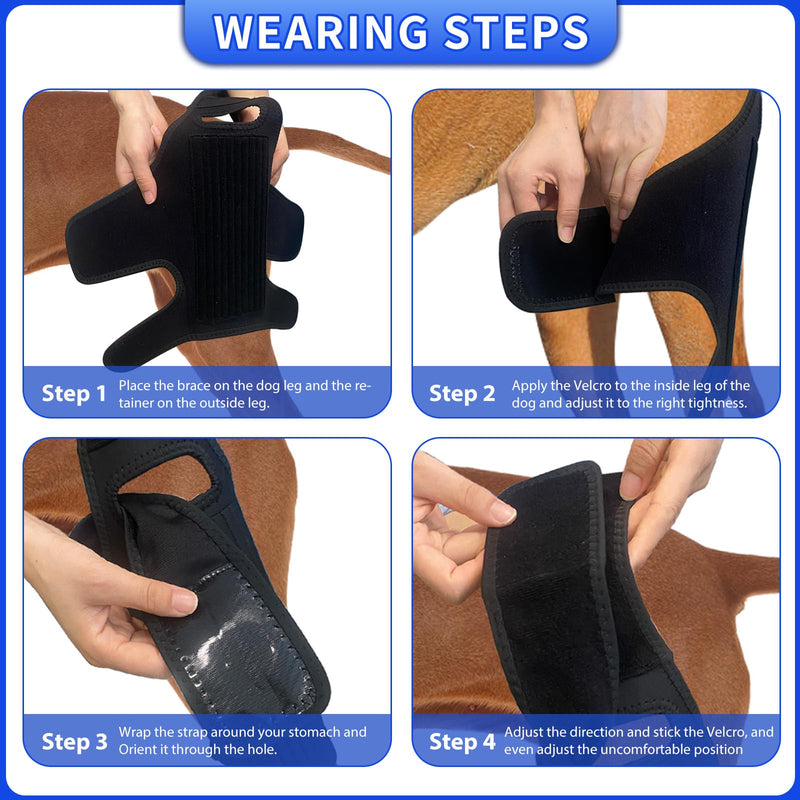 Dog Knee Brace Leg Braces - Dog Canine Knee Brace with 9 Metal Stabilizers Dog Knee Brace for Torn ACL Muscle Sore Hind Leg Joint Pain Reduces Inflammation (XL) XL - PawsPlanet Australia