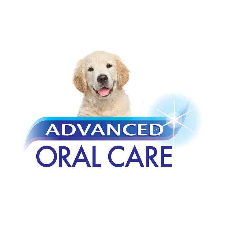 Nylabone Advanced Oral Care Puppy Dental Kit Original Flavor 2.5 oz. - PawsPlanet Australia