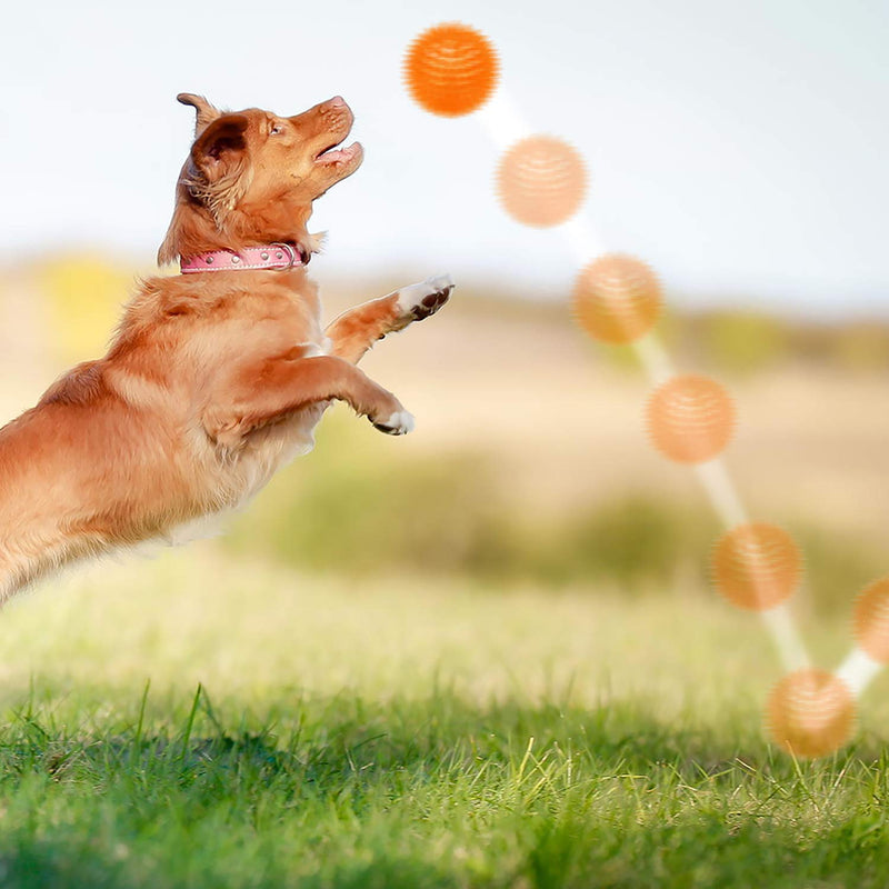 SHARLOVY Squeaky Balls for Dogs Small, Fetch Balls for Dogs Rubber 6 Pack Bright Colors TPR Puppy Toys Dog Toy Balls Dog Squeaky Toys Spike Ball Dog Chew Toys for Small set of 3 multi - PawsPlanet Australia