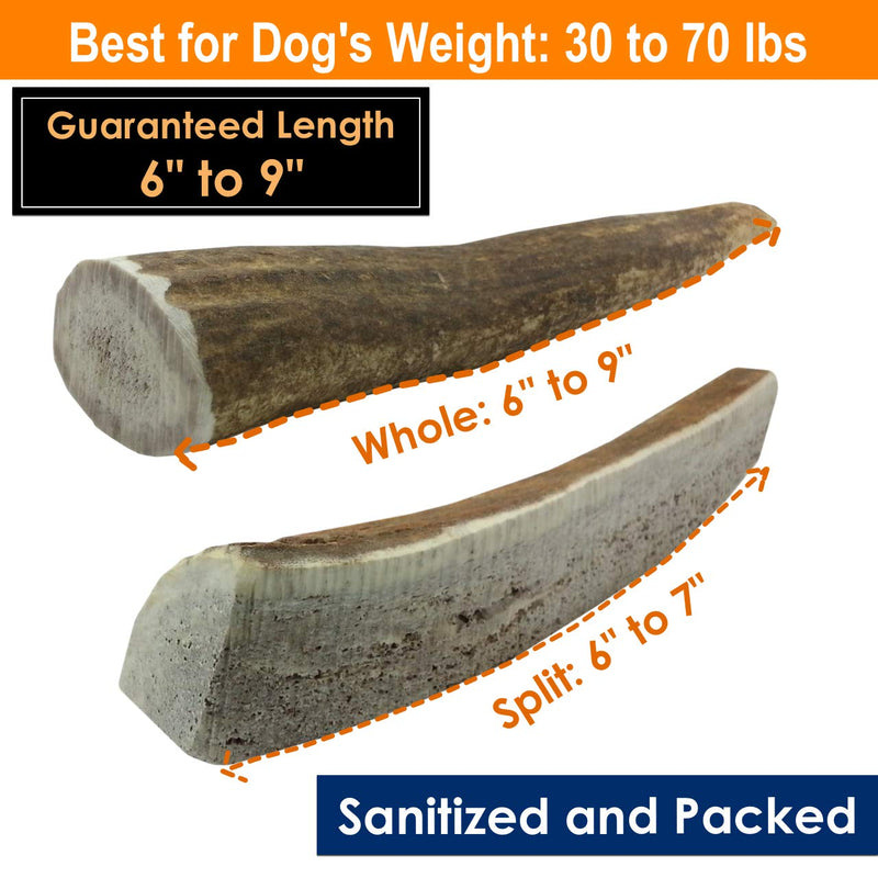 [Australia] - Deluxe Naturals 1-LB Pack Antlers for Dogs, Grade A Premium Naturally Shed Elk Antlers for Dogs, Product of USA 1-Pound Large 