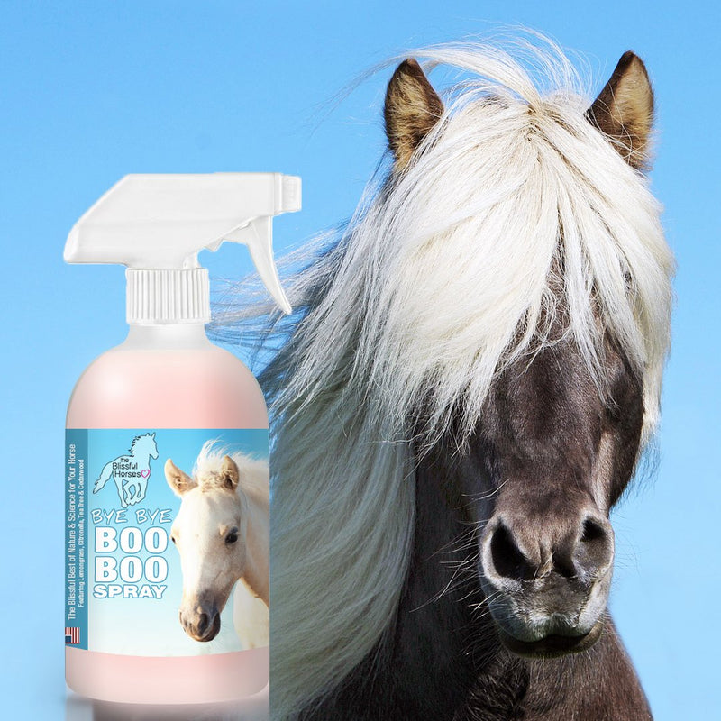 [Australia] - The Blissful Horses Bye Bye Boo Boo Spray All Natural Support, 16-Ounce 