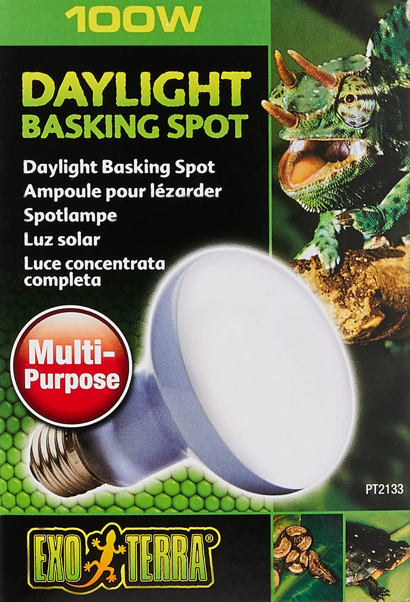Exo Terra Daylight Basking Spot Bulb, 100 W 100 Watt - PawsPlanet Australia
