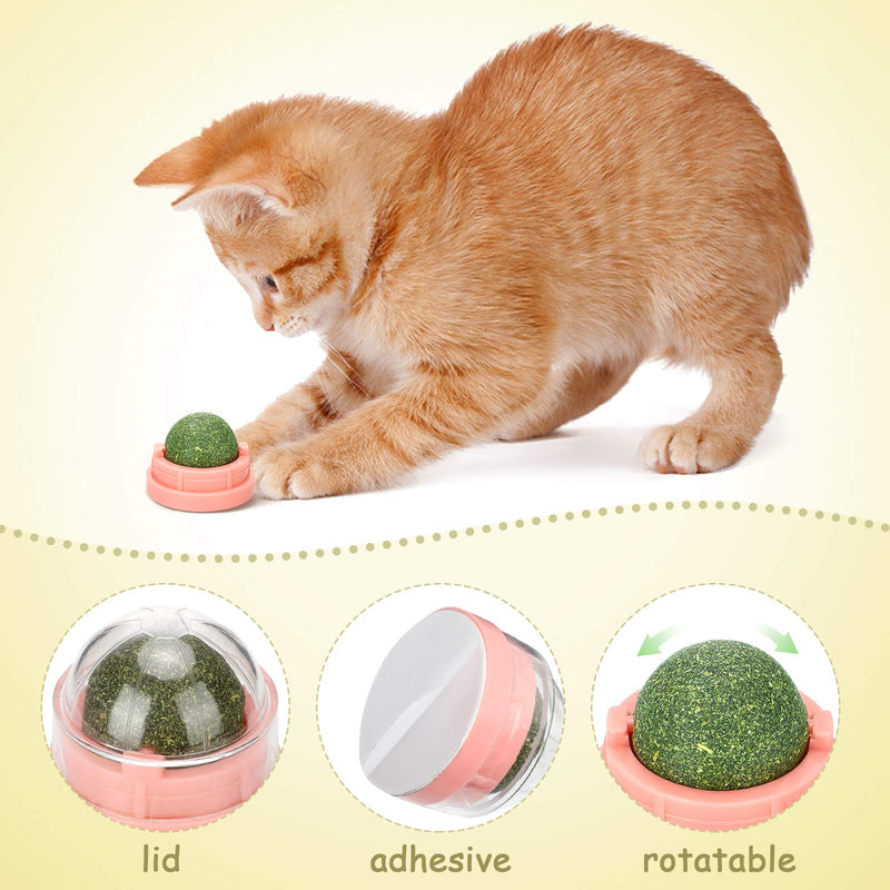 6 Pieces Catnip Ball Cat Licking Toys Rotatable Self-Adhesive Cat Catnip Edible Balls Snack Reliable Catnip Cat Treats Toys Kitten Catmint Balls for Cats Kitten Playing Chewing Molar Teeth Cleaning - PawsPlanet Australia