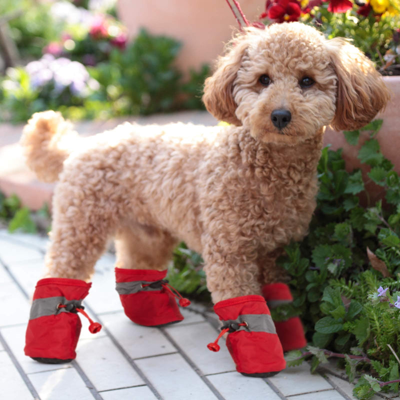 Weewooday 5 Sets 20 Pieces Dog Boots Paw Protectors Anti-Slip Dog Sock Shoes Waterproof Dog Boots with Adjustable Fastening Straps for Small Pets Dogs Extra Small Size - PawsPlanet Australia