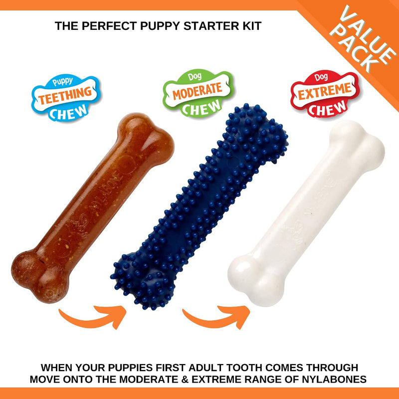 Puppy Starter Kit, Pack of 3 Dental Dog Chew Bones, Teething, Gentle, Graduate, Small, for Puppies Up to 11 kg .Mixed - PawsPlanet Australia