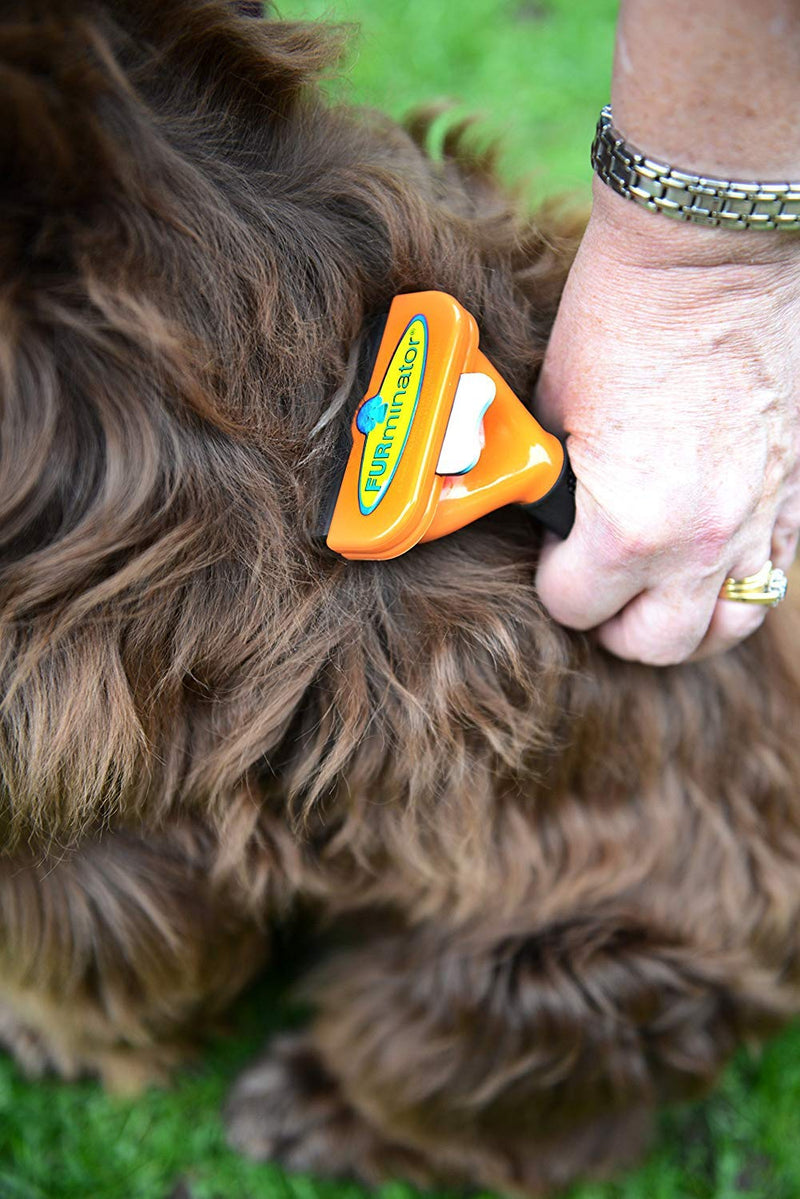 FURminator Long Hair DeShedding Tool for Medium Dogs - PawsPlanet Australia