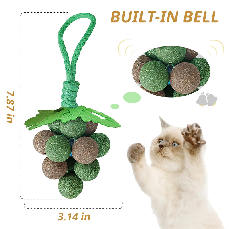 PAKESI Catnip Toys Balls,Set of 9 Catnip Balls and 4 Bug Berry Balls,Teeth Cleaning Cat Bite Toy, Cat Wall Treats, Interactive Cat Toys for Hours of Play - PawsPlanet Australia