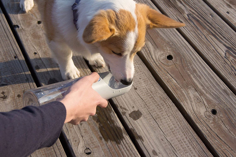 PETKIT Dog Water Bottle with Filter BPA Free, Leak Proof Dog Drinking Bowl, Food Grade Material, Lightweight Portable Pet Water Bottle for Walking, Hiking, Travel 400ml GREY - PawsPlanet Australia