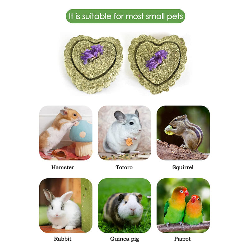 RoadLoo Rabbit Chew Toys, Pack of 32 Rabbits Natural Hay Grass Cakes Natural Hay Chew Toys Bunny Chew Toys Guinea Pig Chew Toys for Rabbits/Chinchilla/Guinea Pigs/Hamsters - PawsPlanet Australia