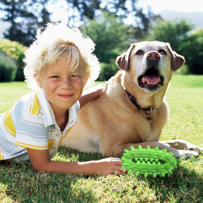 Dog Chew Toy Toothbrush Teeth Cleaning Toy 2020 New Upgraded |Cactus Shaped Indestructible Tough Interactive Dog Toy | Dog Rope Toy for Small, Large Dogs and Aggressive Chewers green - PawsPlanet Australia