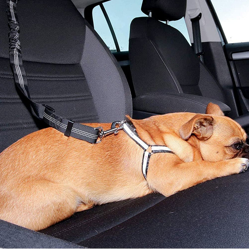 Dog belt car, elastic dog seat belt car made of nylon, adjustable dog leash car with shock absorption and carabiner for dogs and cats - PawsPlanet Australia
