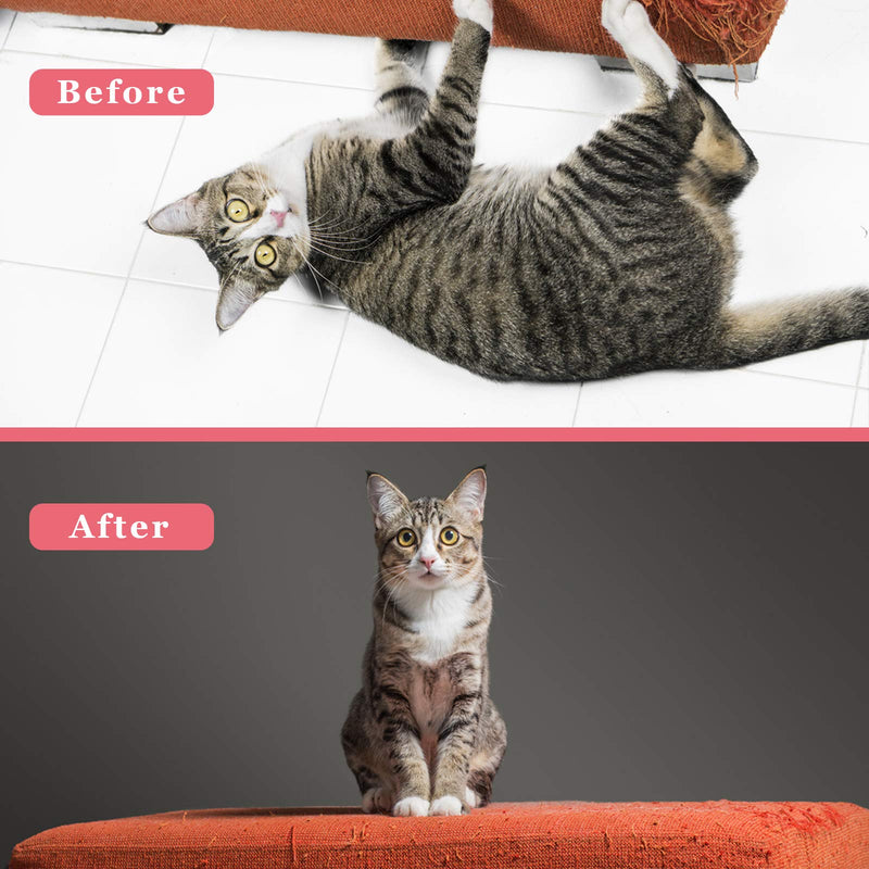 Cat Scratch Spray for Indoor and Outdoor Use, Cat Scratch Deterrent Spray, Effective Cat Repellent Indoor Furniture Spray, Safe on Furniture, Plants cat spray - PawsPlanet Australia