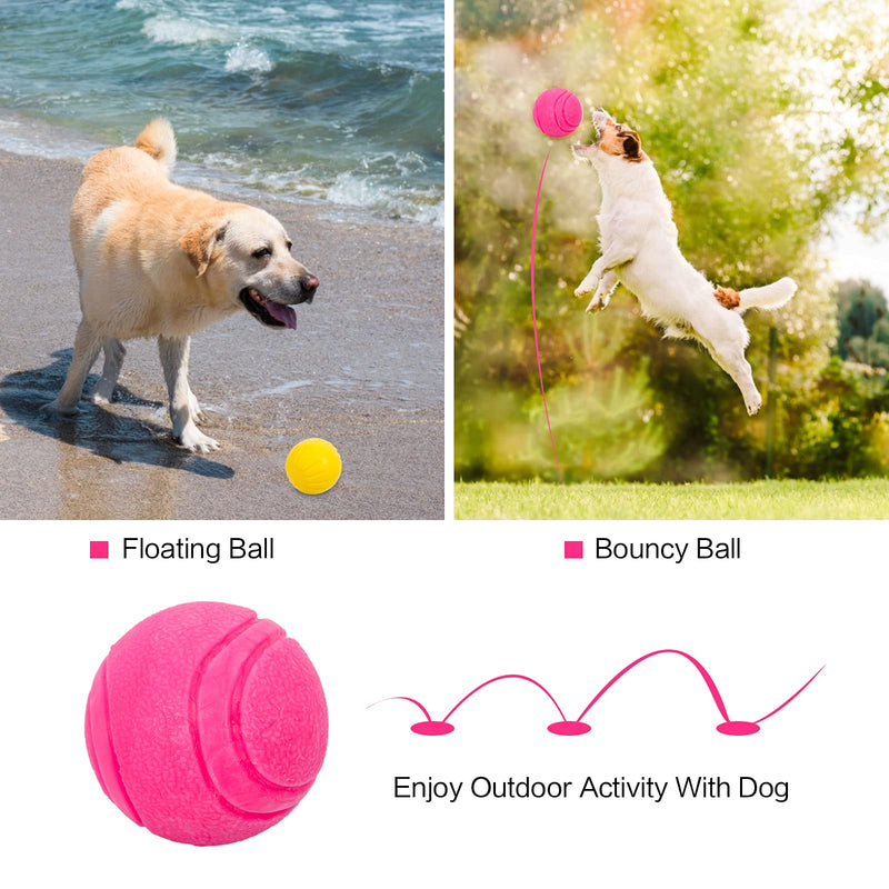 Interactive Dog Toys Balls Dog Puzzle Toys for Small Medium Dogs Puppy-5 Different Functions Balls - Dog Squeaky Ball,Durable Rope Toys Ball, IQ Training Balls and Food Treat Dispensing Toy - PawsPlanet Australia