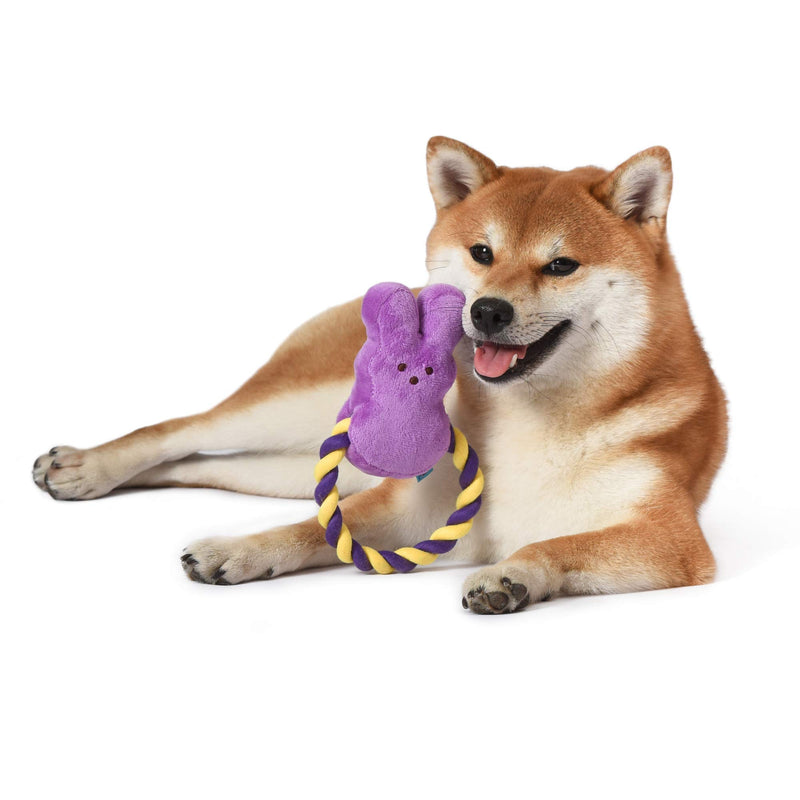 Peeps for Pets Bunny 6 Inch Purple Plush Rope Pull Toy for Dogs | Purple Dog Toy from Peeps, Plush Fabric Dog Toys | Small Squeaker Dog Toy with Rope (FF16025) - PawsPlanet Australia