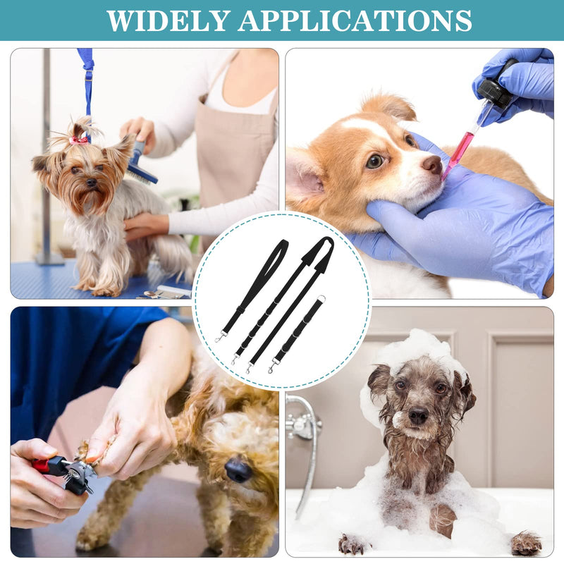 Pack of 3 Dog Grooming Belly Belt Band, Adjustable D-Ring Dog Belt, for Hair Cleaning, Bathing and Grooming of Puppies and Kittens Nylon - PawsPlanet Australia