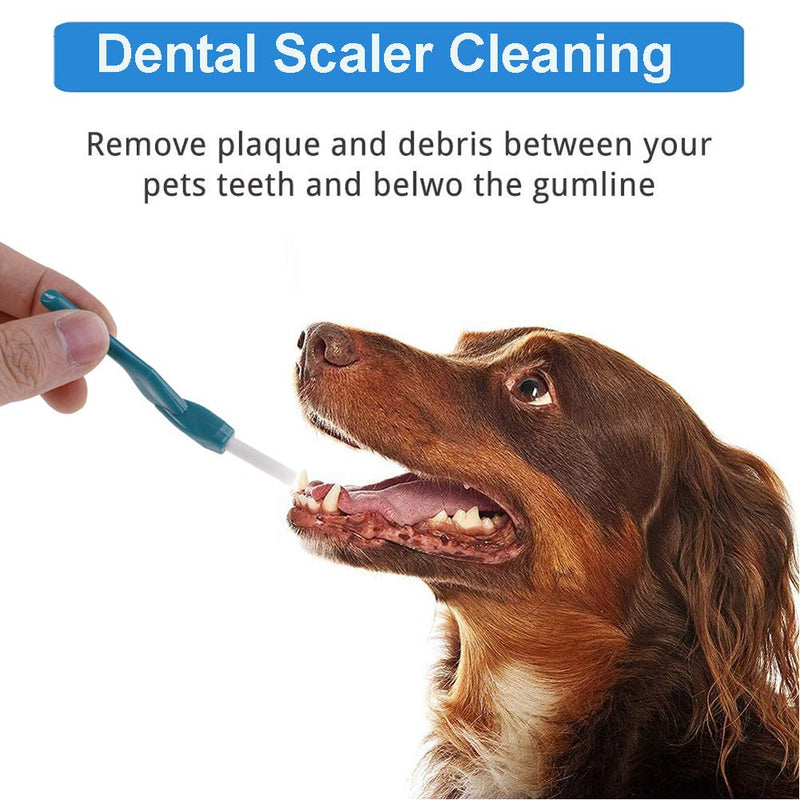 Dog toothbrushes, toothbrushes for dogs, pet toothbrush, double head soft toothbrush, dog toothbrush, dental care for dogs, removes deposits and tartar - PawsPlanet Australia