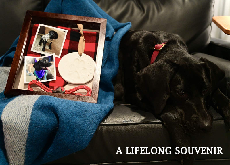Pet Memorial Shadow Box with Clay Paw Print Impression Kit,Dog & Cat Wood Picture Frame Ornament as Loss Pet Keepsake and Gifts for Pet Lover - PawsPlanet Australia