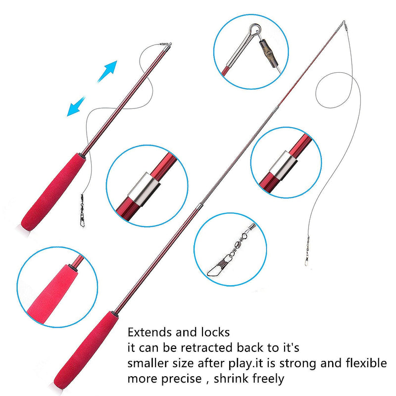Diealles Interactive Cat Toy, Retractable Natural Feather Rod Cat Toy with 5 Cat Fishing Rod Replacement Worm Cat Toy - PawsPlanet Australia