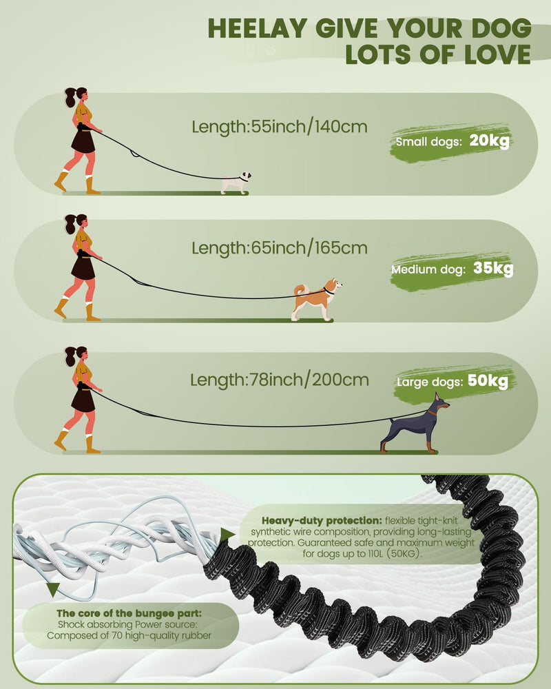 Jogging leash for dogs, Heelay belt bag for running, jogging, hiking, jogging leash and normal dog leash for large, medium-sized dogs with double handle, waist strap, dog leash with reflective stitching, black - PawsPlanet Australia