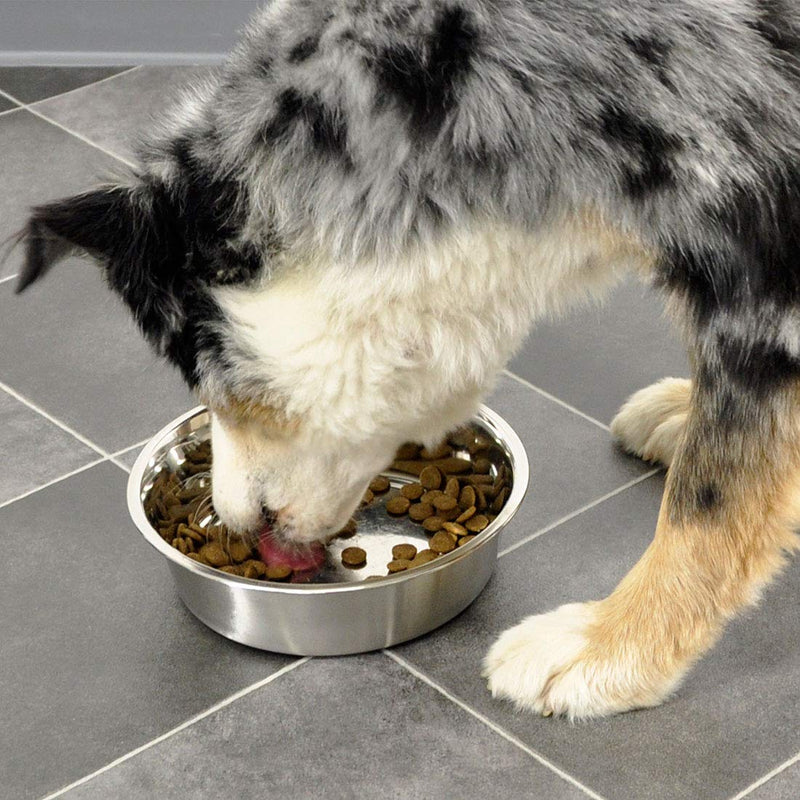 [Australia] - Bergan Heavy Duty Dog Bowl 8 Cup of dry food capacity 