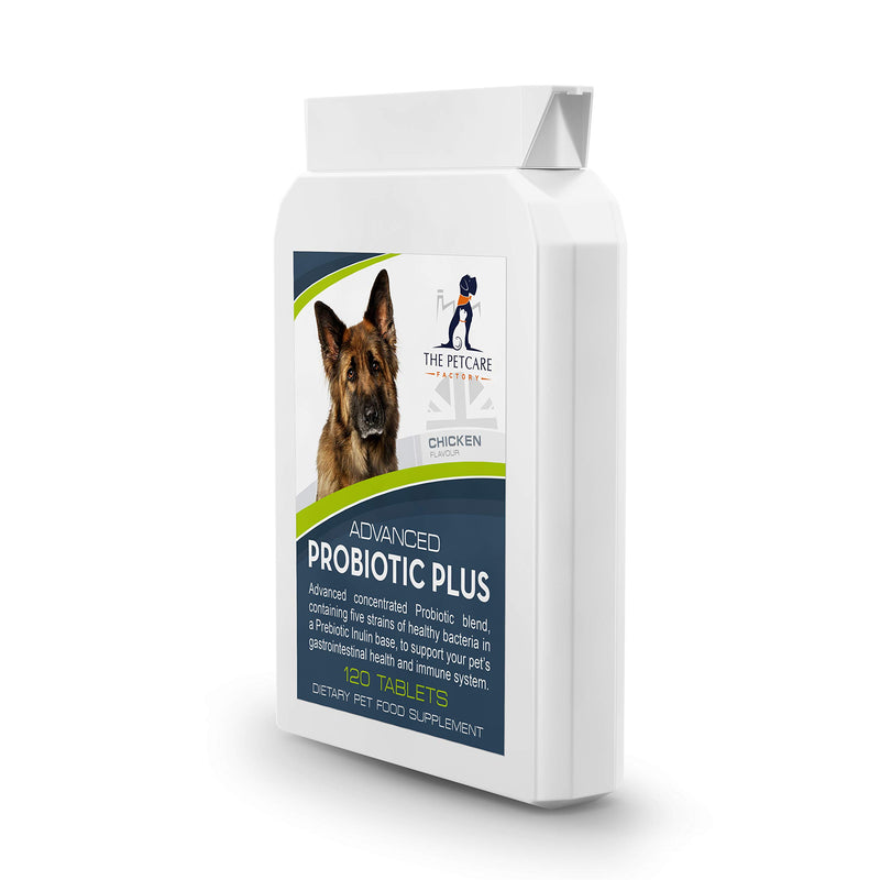 Advanced Probiotic Plus, 5 Strains of Bacteria in a Prebiotic Inulin Base, 2 Billion CFUs Per Tablet, Plus Digestive Enzymes, 120 Tablets, Boosts Canine Immunity and Digestive Health, UK Manufactured - PawsPlanet Australia
