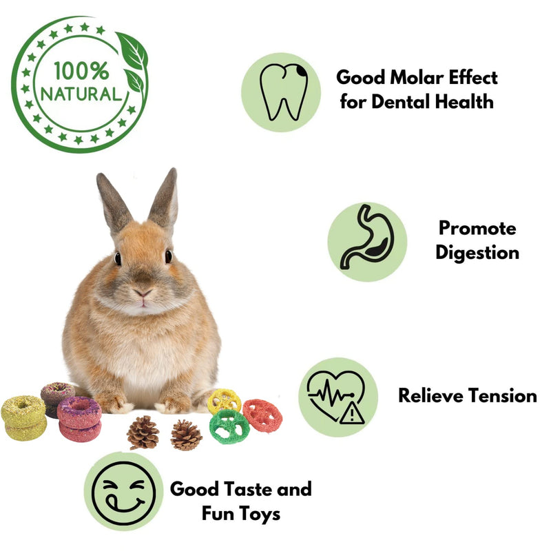 Lacrima Rabbit Chew Toys Donuts 13PCS - All Natural Bunny Toys for Rabbits,Intestine and Teeth Health Toys for Guinea Pig/Rabbit,Guinea Pig Bunny Chinchilla Hamster Treats - PawsPlanet Australia