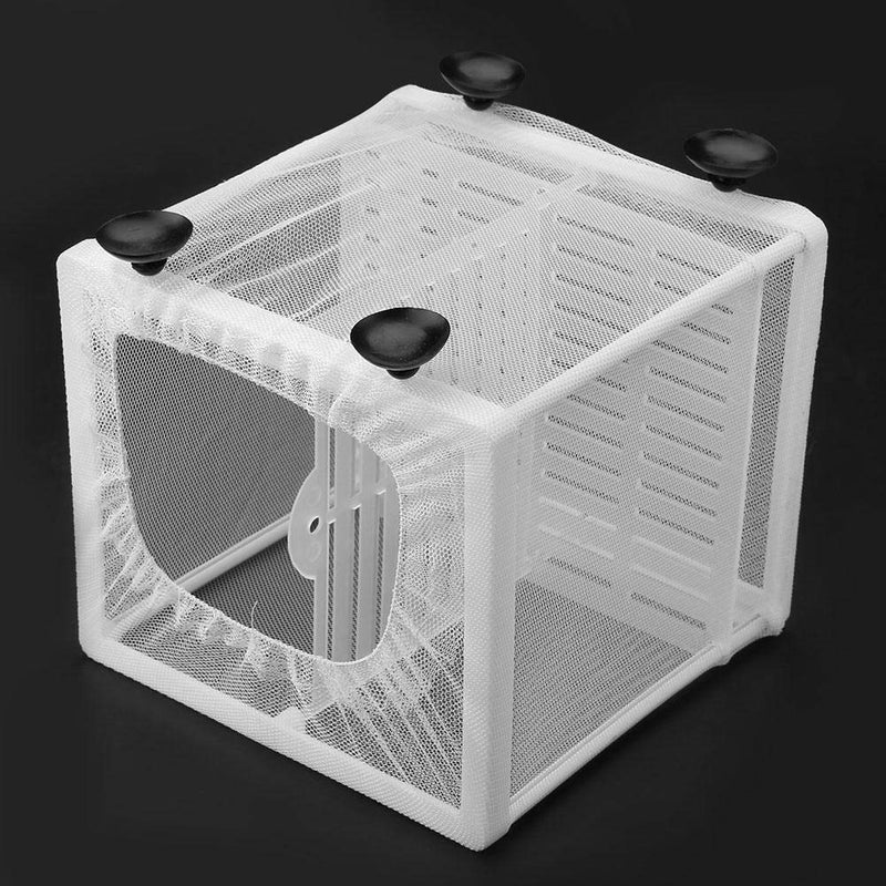 Fish Incubator Mesh Box Fish Tank Isolation Box Fish Breeder Net Fry Hatchery Incubator with Suction Cup Isolation Board - PawsPlanet Australia