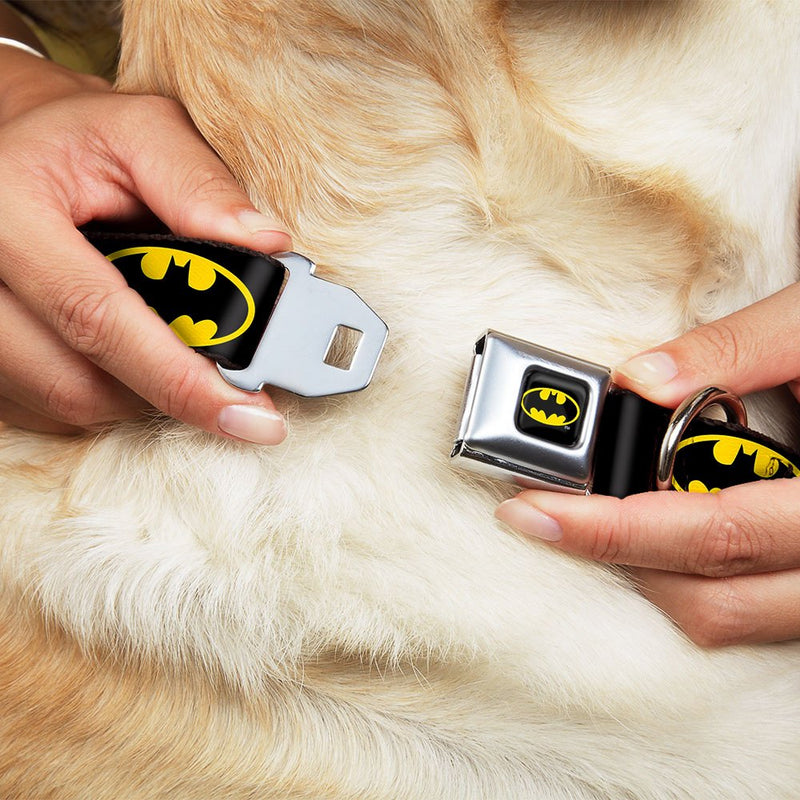 Buckle-Down Seatbelt Buckle Dog Collar - Batman Shield Black/Yellow 1" Wide - Fits 9-15" Neck - Small - PawsPlanet Australia