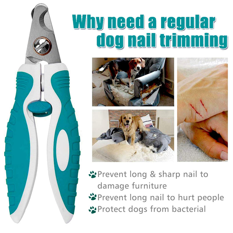 Dog Nail Clippers Trimmers Safety Guard for Small Medium Dogs Claw Clippers, Pet Nail Cutters for Thick Nails with Free Nail File & Dog Toothbrushes Small/Medium Blue - PawsPlanet Australia