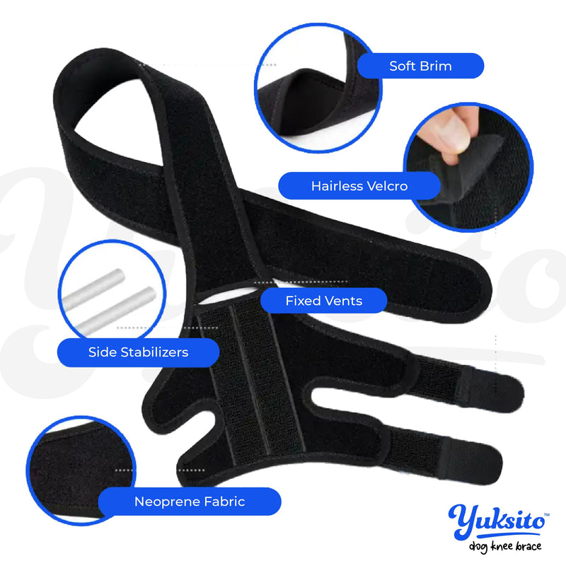 Yuksito Dog Knee Brace for Torn ACL Hind Leg, Dog Knee Brace for luxating patella, Dog Arthritis Brace, Dog Leg Brace Maintains Joint Warmth and Stability, Alleviates Pain Reduces Inflammation (Large) Large - PawsPlanet Australia