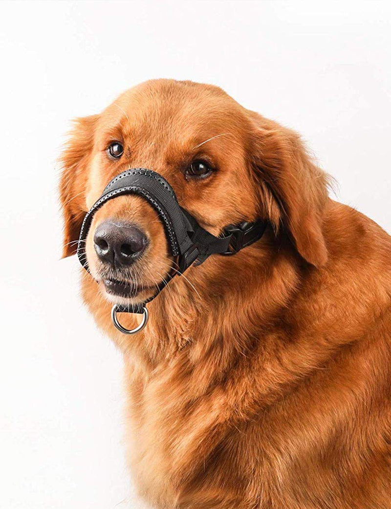 [Australia] - Dog Muzzle Nylon Soft Padding, Adjustable Loop, Black Medium 