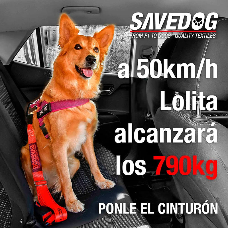 PONSA SAVEDOG. Dog seat belt. The safest harness on the market. Load capacity 1,000KG. Meets ISO 27955:2010 requirements. Ref.027172050102 volume - PawsPlanet Australia