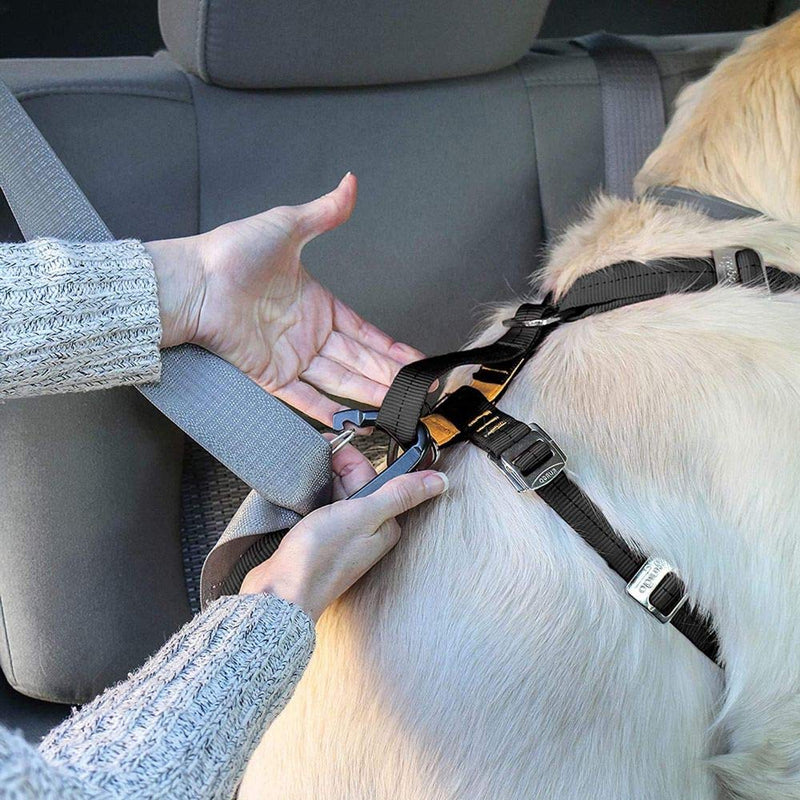 Kurgo Tru-Fit Dog Harness, Crash Test Proven Car Seat Belt, For Dogs 50 to 80 lbs, Large, Black - PawsPlanet Australia