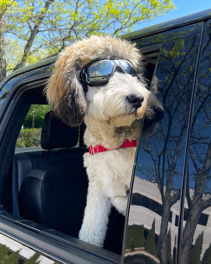 NAMSAN Dog Goggles Large UV Protection Sunglasses for Medium Large Dogs Windproof Outdoor Pet Glasses Adjustable Dog Sunglasses Black - PawsPlanet Australia