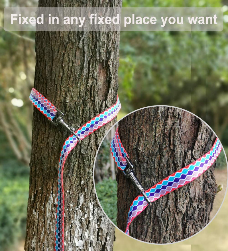 Mycicy Colorful Nylon Long Dog Lead Obedience Recall Training Agility Lead，12ft 20ft 30ft 50ft Training Lead for Small Medium Large Dogs, Pattern Printer 20 Feet*3/4in Rainbow - PawsPlanet Australia