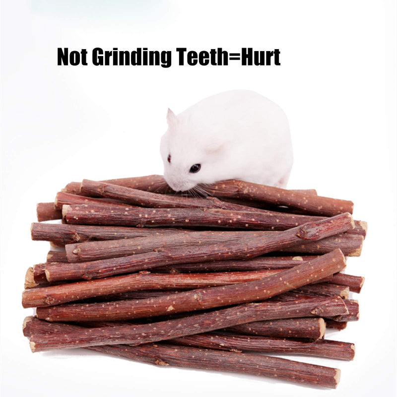 LMYKH Rabbit chew toy, hamster toy with apple sticks Timothy hay sticks, small animal molar accessories for guinea pigs, chinchillas, rabbits - PawsPlanet Australia