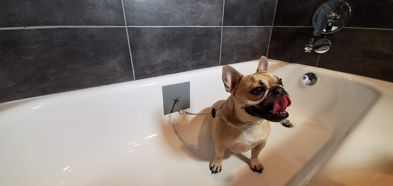[Australia] - Pawbble Bath Dog Bath Suction Mat and Leash 