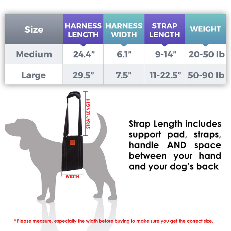 [Australia] - Pet Friendz Dog Lifting Harness for Rear Legs - Dog Sling for Back Legs, Rehabilitation Sling Harness, Dog Lift, Hip Support Harness to Help Lift Dogs Rear for Canine Aid Large 