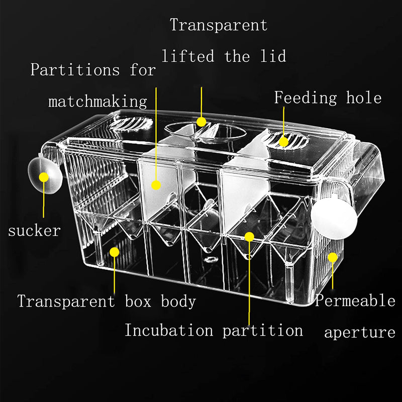 Hamiledyi Fish Breeding Box Aquarium Tank Incubator Acrylic Transparent Breeder Box Baby Fish Hatchery Artificial Plant Decorate for Shrimp Clownfish Guppy Molly Small Fishes (3Pcs) - PawsPlanet Australia