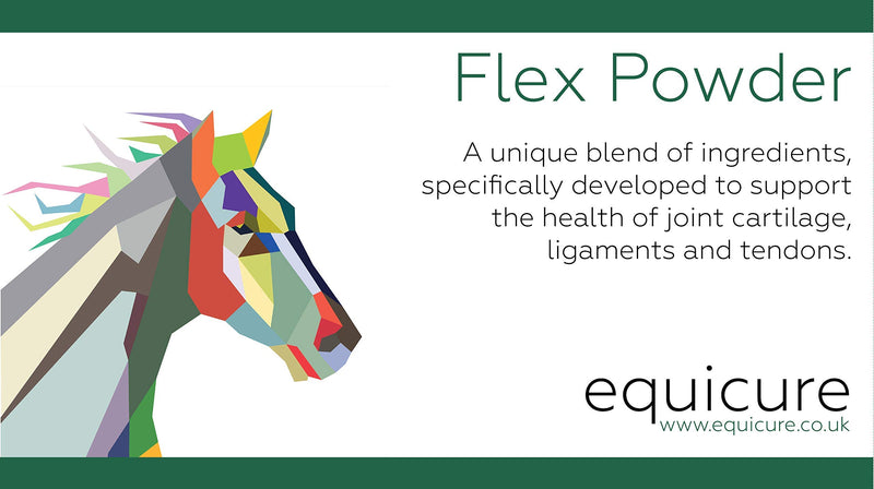 Equicure Flex 1KG - Equine Joint and Flexibility Supplement for Horse/Pony - PawsPlanet Australia